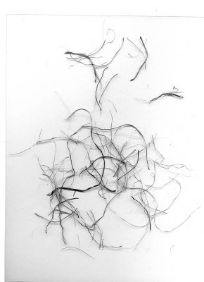 Rope strands, digitally scanned by me